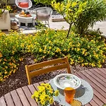 Villa Bonifato Vista Sulle Campagne E Sul Mare Siciliano Cozy House Italy Alcamo