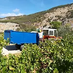 Bonifato Vista Sulle Campagne E Sul Mare Siciliano Cozy House Italy *
