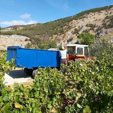 Bonifato Vista Sulle Campagne E Sul Mare Siciliano Cozy House Italy *