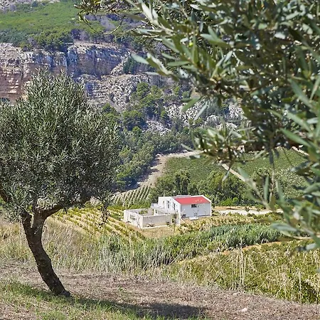 Bonifato Vista Sulle Campagne E Sul Mare Siciliano Cozy House Italy